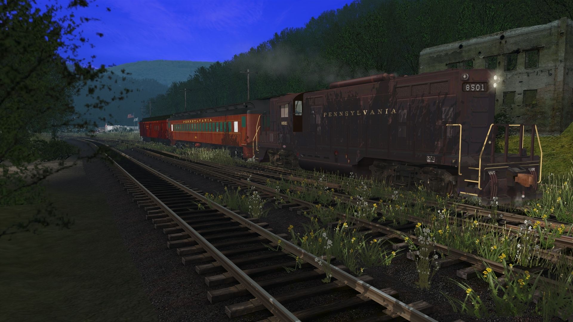PRR.........-8501-in-the-woods.jpg