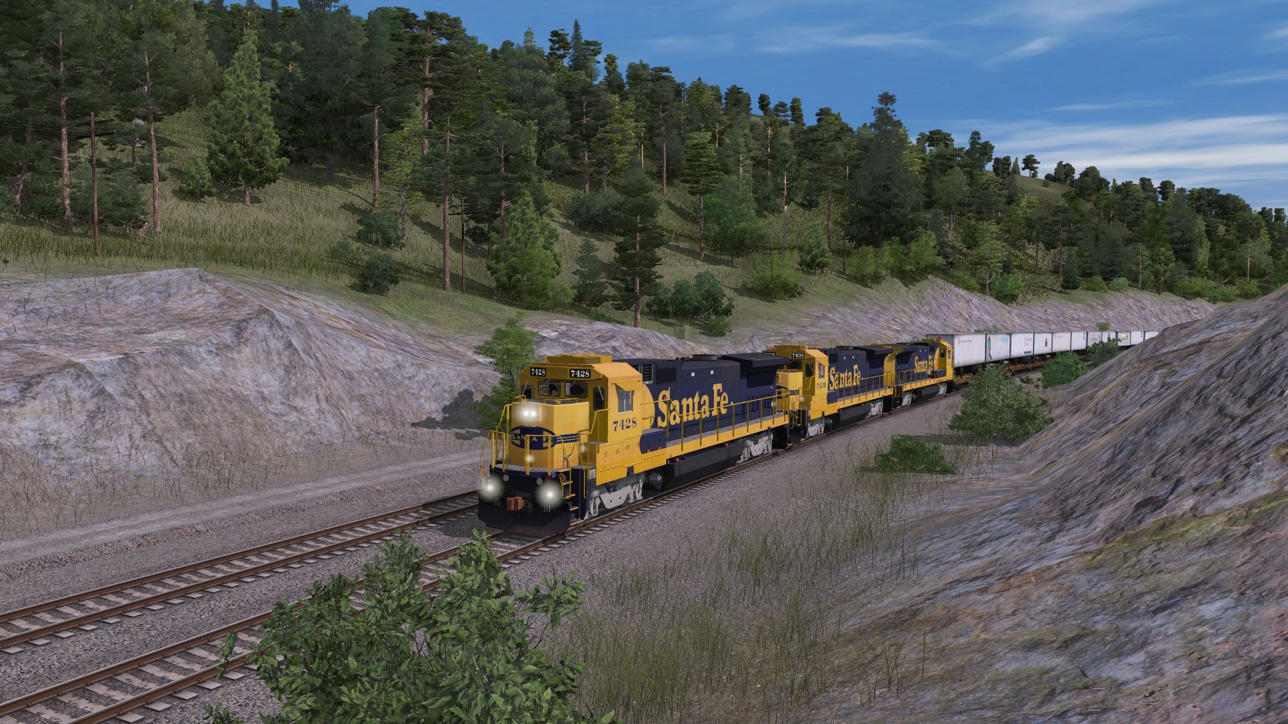 My-Trainz-Screenshot-Image.jpg