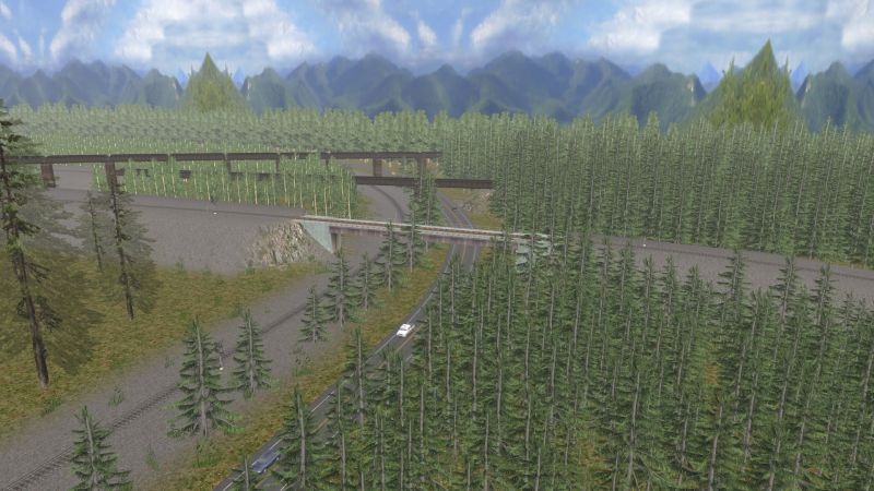 Bridge%27s-in-the-forest.jpg