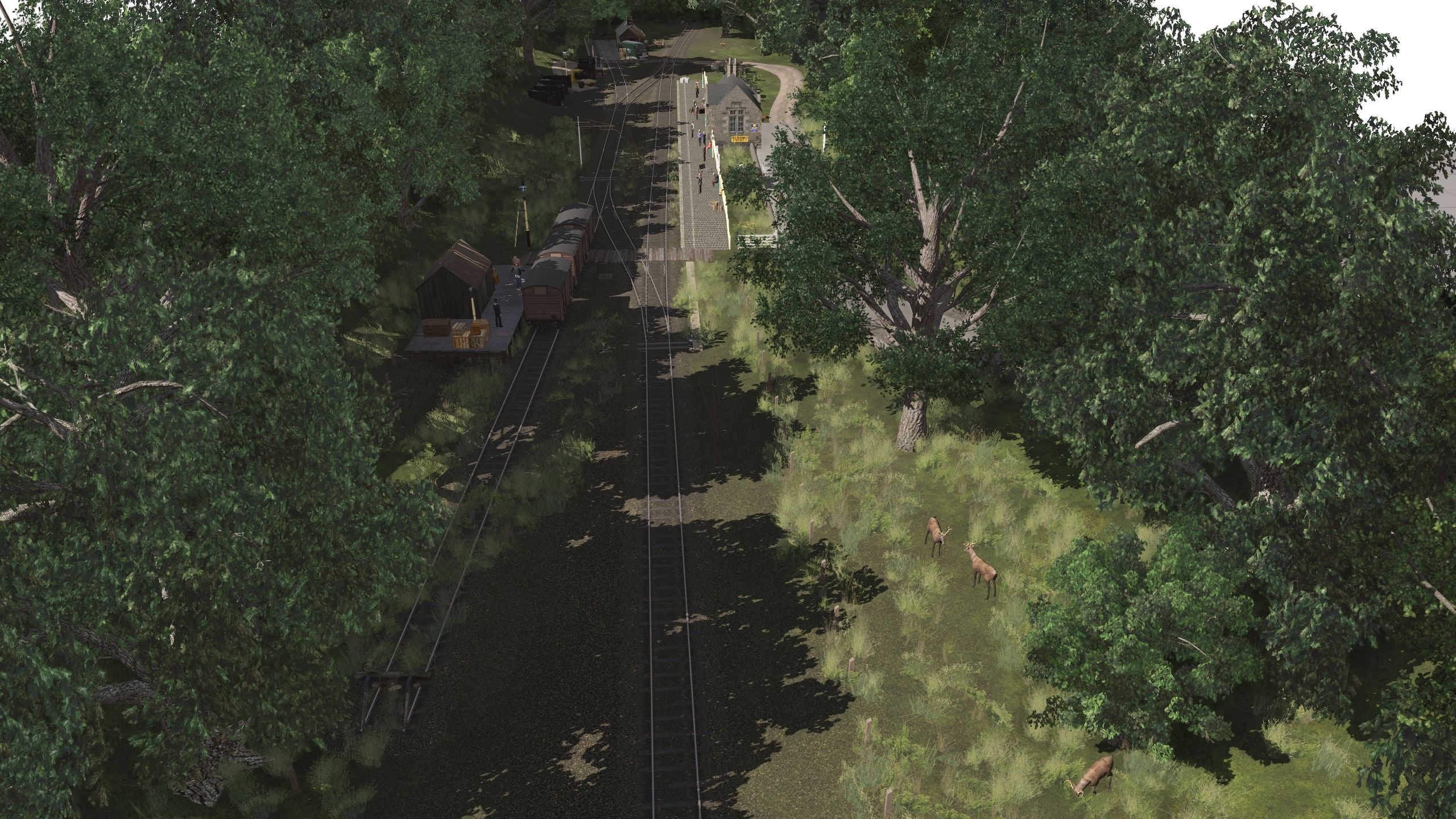 My-Trainz-Screenshot-Image.jpg