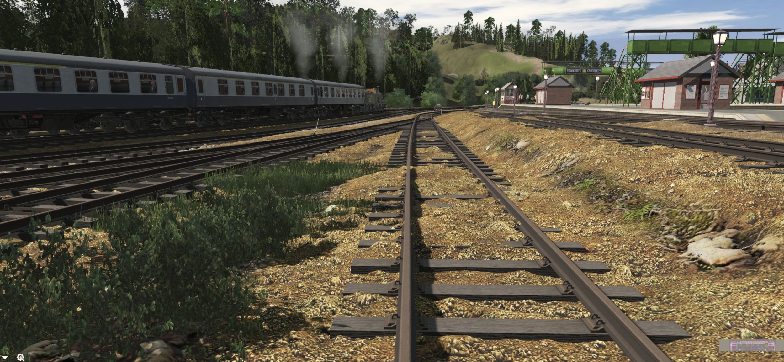 Down-in-the-sidings.jpg