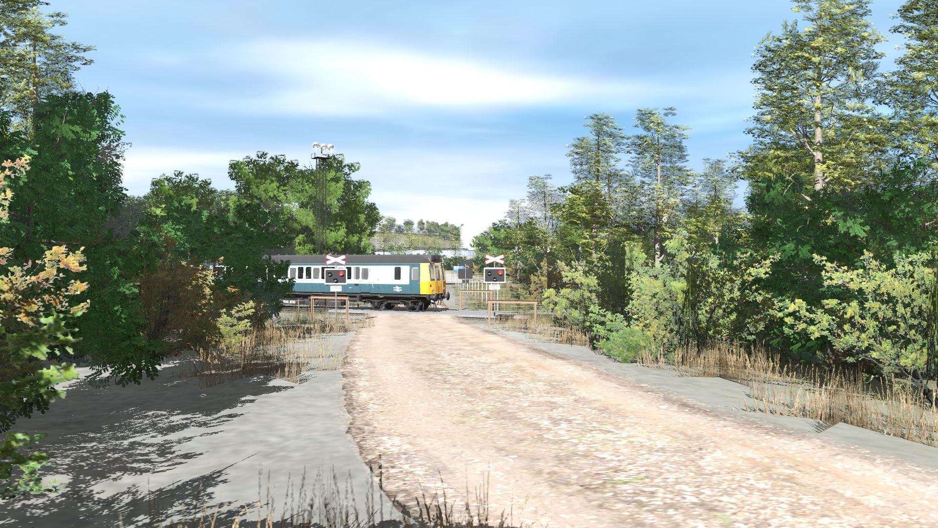 TRS19---Duchy-Days-Local-Service.jpg